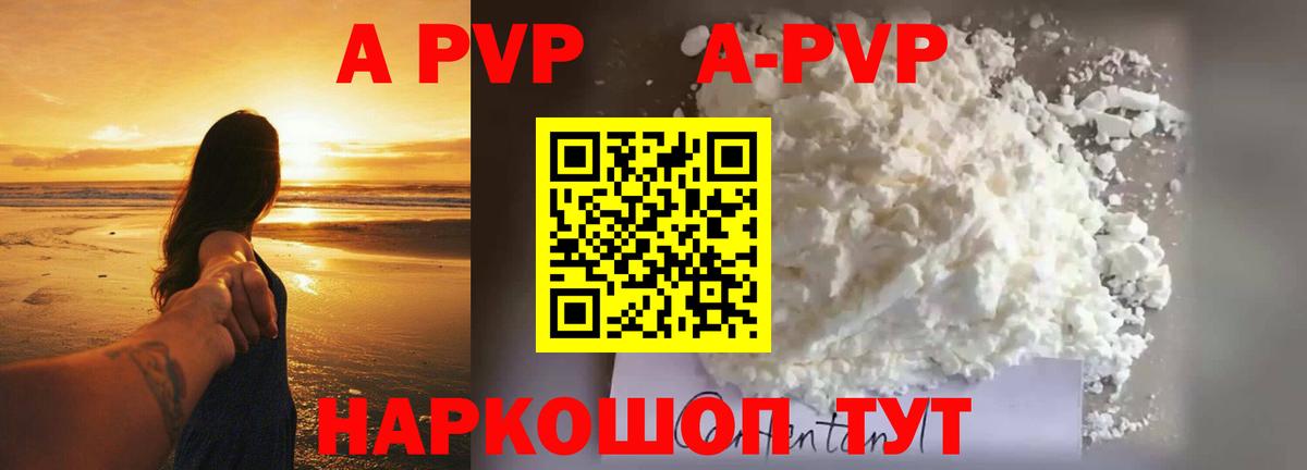 А ПВП крисы CK Курчалой