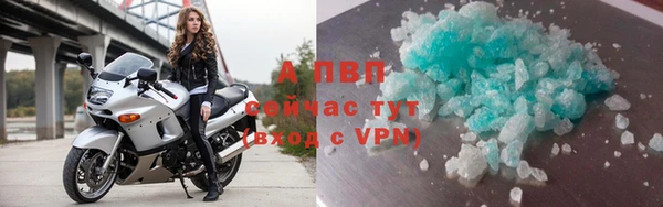 гашик Михайлов