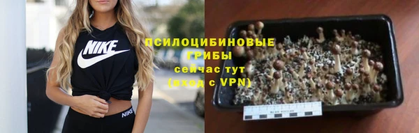 мдпв Наволоки