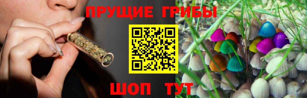 Псилоцибиновые грибы Magic Shrooms  Псилоцибиновые грибы Psilocybine cubensis  где можно купить наркотик  Курчалой  Вход с VPN 